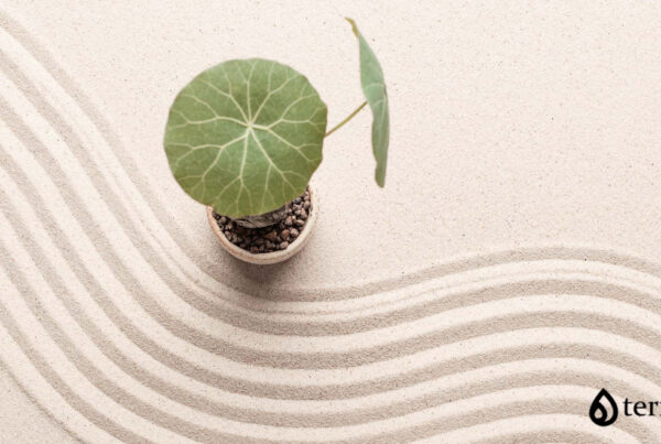 code-camillas-de-masaje-blog-akt-group-termalia-romania