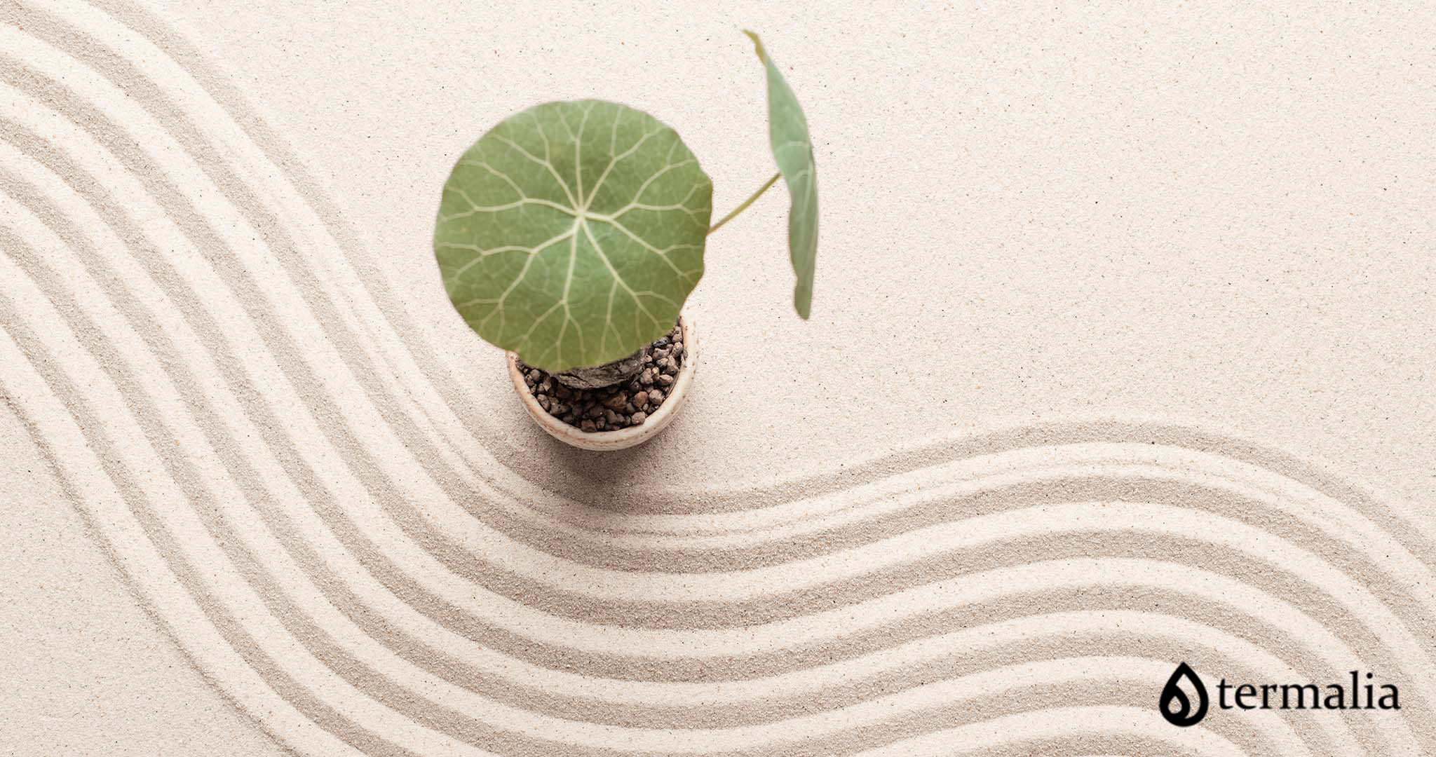 code-camillas-de-masaje-blog-akt-group-termalia-romania